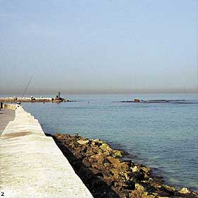 Lectures and Tours